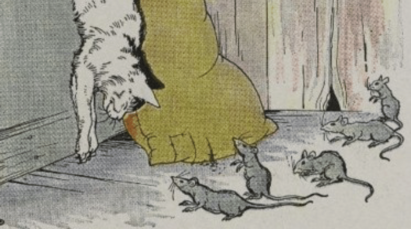 De Kat en de oude Rat