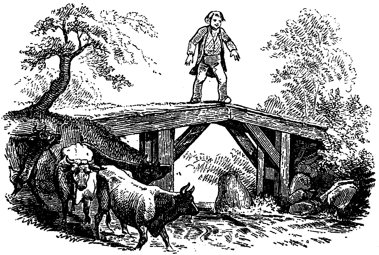 De grote klaas en de kleine klaas