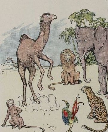 jolie bosse de chameau. illustration d'animal de dessin animé