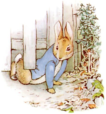 [Illustration]