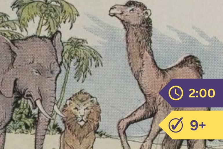 jolie bosse de chameau. illustration d'animal de dessin animé
