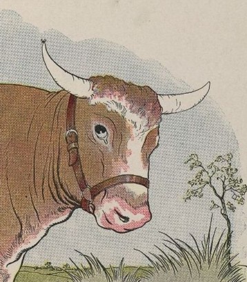 This image has an empty alt attribute; its file name is the-gnat-and-the-bull-1.jpeg