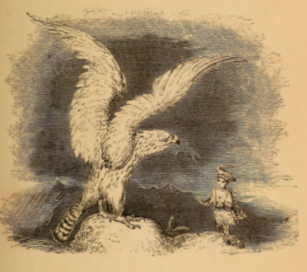 De vogeljongen sprookje