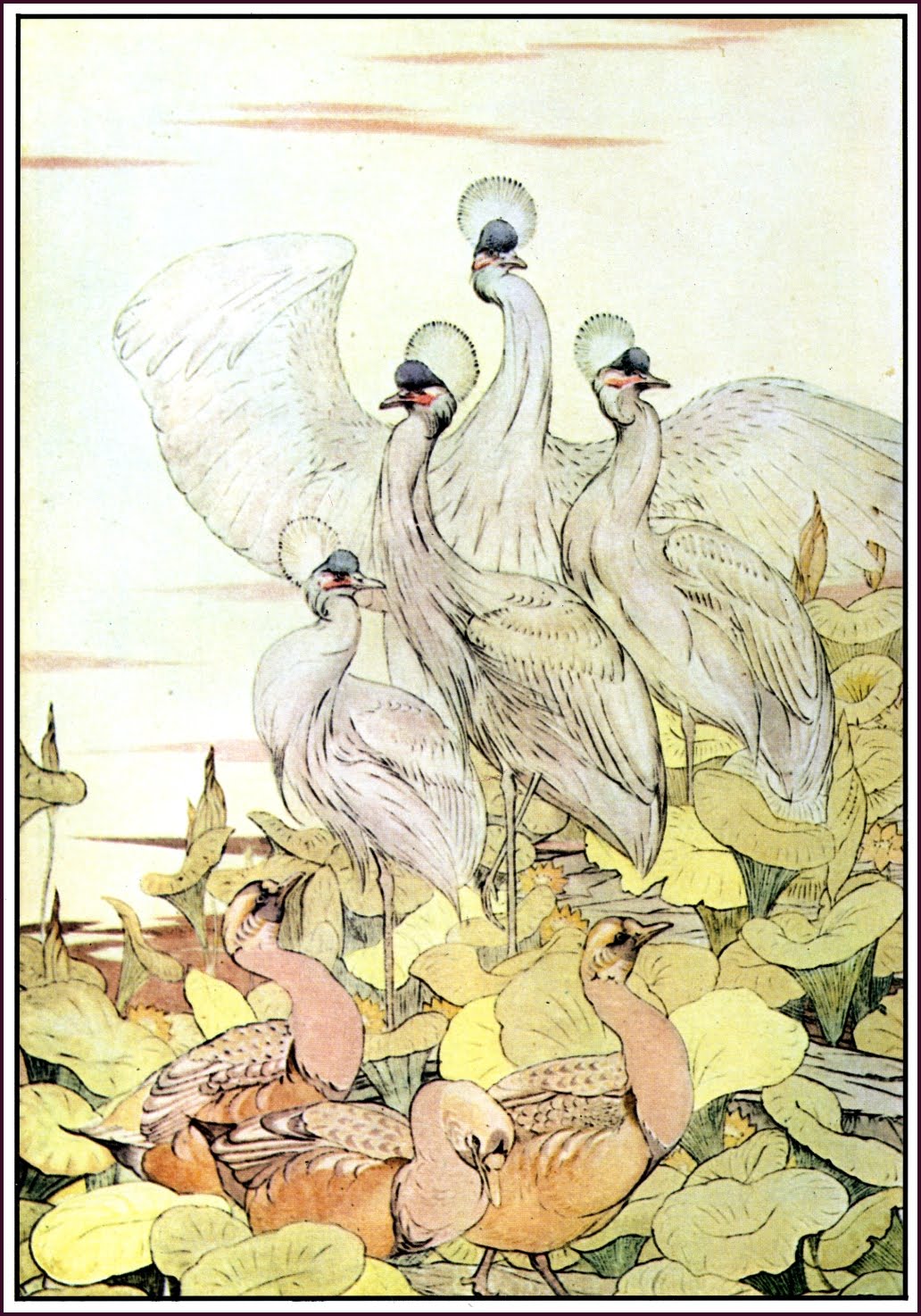 This image has an empty alt attribute; its file name is The-Birds-the-Beasts-and-the-Bat-1.jpeg