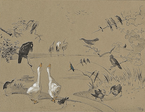 sprookje hoe de vogels aan een koning kwamen