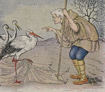 This image has an empty alt attribute; its file name is the-farmer-and-the-stork-1.jpeg