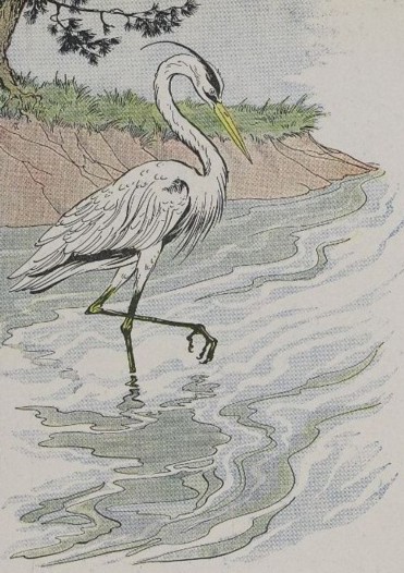 De reiger