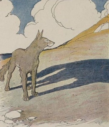 This image has an empty alt attribute; its file name is wolf-schaduw.jpeg