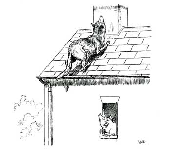 Wolf on the roof Wolf on the roof