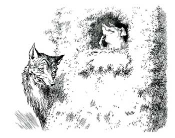 Then along came the Wolf Then along came the Wolf