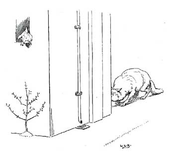 He could not get the house down He could not get the house down