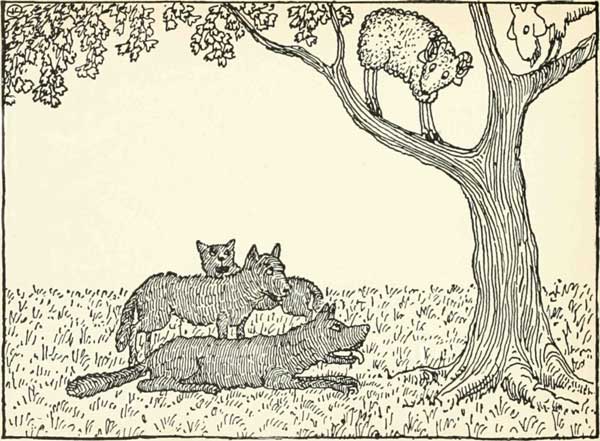 So the eldest wolf lay down under the tree