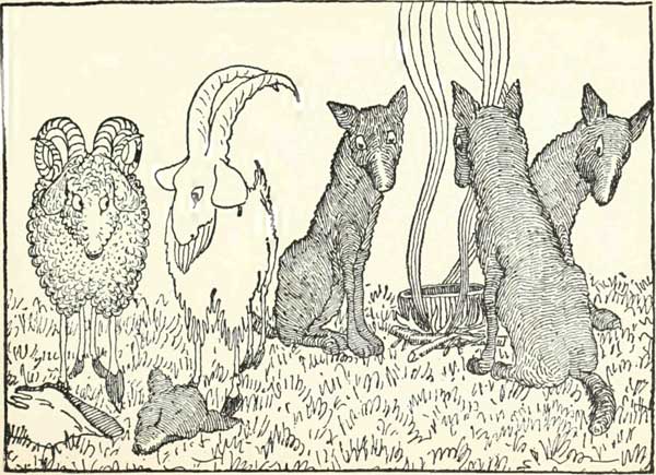 Then the second wolf