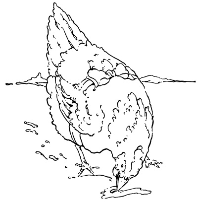 de kleine rode hen