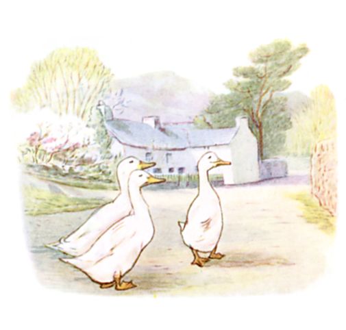 The Puddle-Ducks The Puddle-Ducks