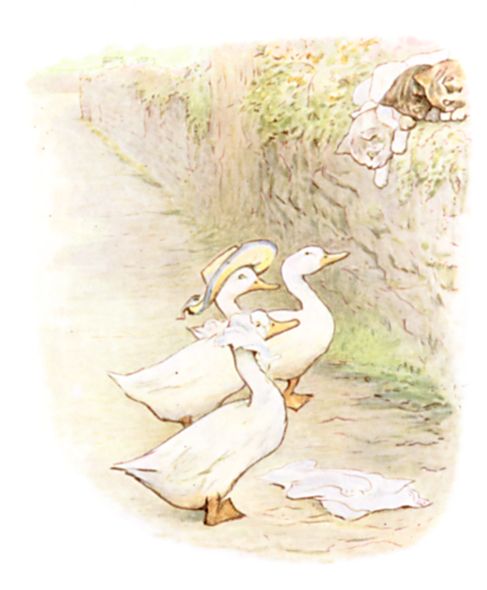 Then the two duck-birds, Rebeccah and Jemima Puddle-Duck, picked up the hat and tucker and put them on. Then the two duck-birds, Rebeccah and Jemima Puddle-Duck, picked up the hat and tucker and put them on.