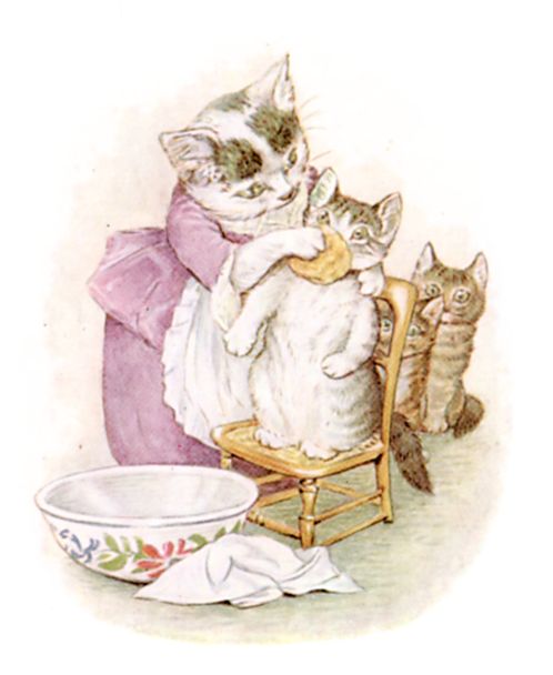 First she scrubbed their faces (this one is Moppet). First she scrubbed their faces (this one is Moppet).