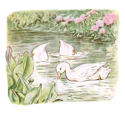 And Mr. Drake Puddle-Duck, and Jemima and Rebeccah, have been looking for them ever since. And Mr. Drake Puddle-Duck, and Jemima and Rebeccah, have been looking for them ever since.