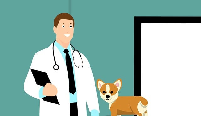 The Animal Clinic of Dr. Mike – Free Kids Short Story