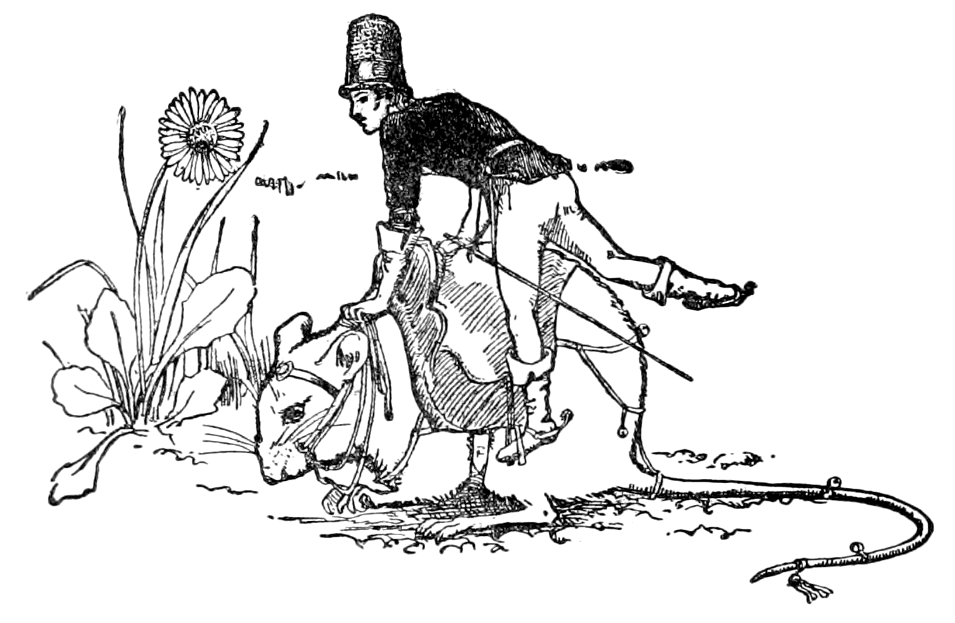 The History of Tom Thumb by Joseph Jacobs – Read Free