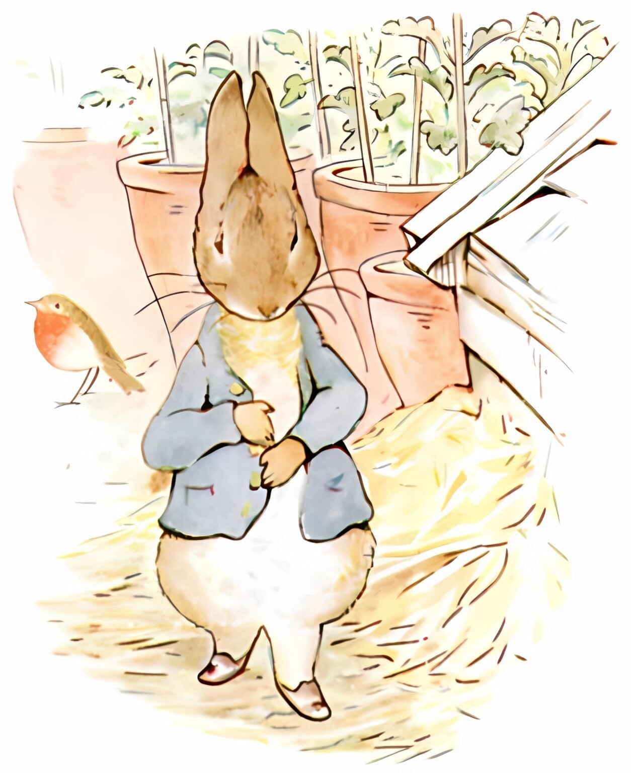 A História de Peter, o Coelho – Beatrix Potter